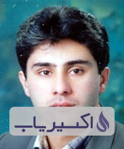 دکتر سیداحمد میرمجیدی