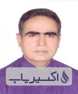 دکتر محمدحسین حسین پور