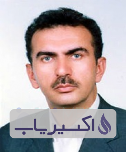 دکتر سیدمجتبی شیرنگی