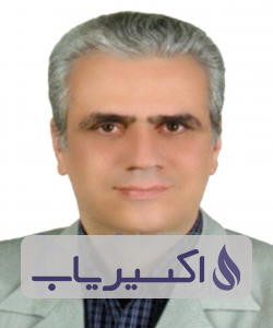 دکتر سیدمحمدحسین میرمحمد