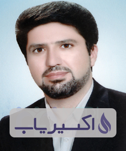 دکتر محمدرضا حمزه پور