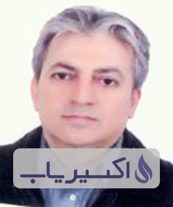 دکتر محمد حبیب زاده عمران