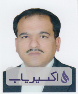 دکتر حسن رشیدی احمد ابادی