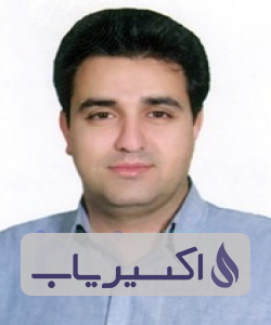 دکتر امیرحسین میرمحمدصادقی