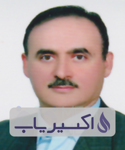 دکتر سیدعلی میررضوی