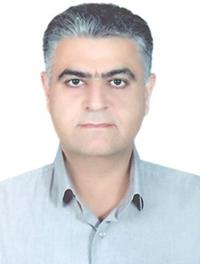 دکتر محمدرضا رادپی