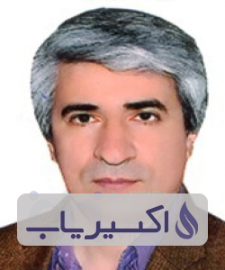 دکتر محمدحسین امیری