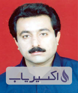 دکتر سعید محمدحسنی