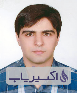 دکتر سعیدرضا مهرپورمحمدآبادی