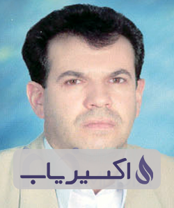 دکتر محمدابراهیم زین الدینی میمند
