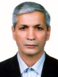 دکتر محمد میرزائی