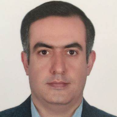 دکتر سیدامیرحسین میرهاشمی