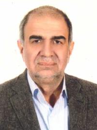 دکتر محمد زارع مهرجردی